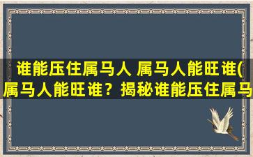 谁能压住属马人 属马人能旺谁(属马人能旺谁？揭秘谁能压住属马人的性格特点)